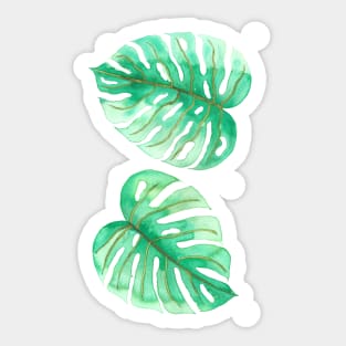 Monstera leaves Sticker